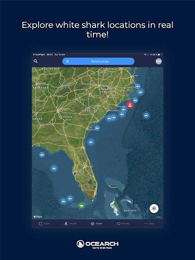 OCEARCH Shark Tracker screenshot 7
