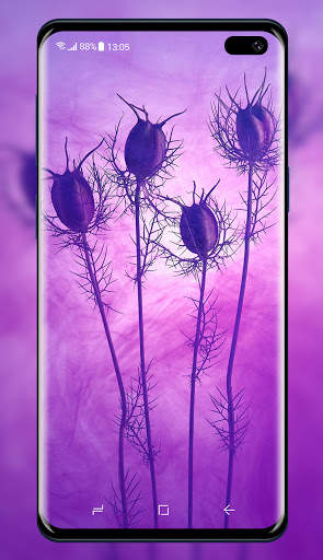 Purple Wallpaper screenshot 8