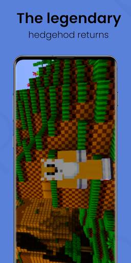 Sonic World Mod For MCPE screenshot 1
