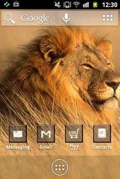 Wild Animals ADW Launcher screenshot 2