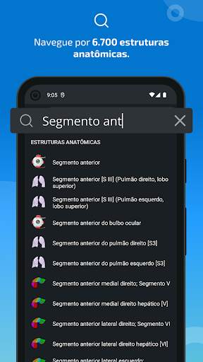 e-Anatomy screenshot 3