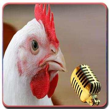 Chicken song скриншот 7