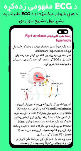 Pashto ECG screenshot 4