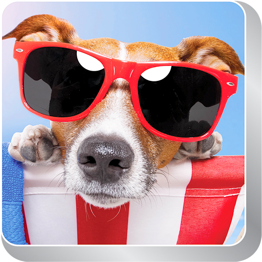 Fonds d'écran Animaux Série 1 icon
