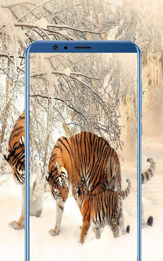 5000   HD Wallpaper Download 2019 screenshot 6
