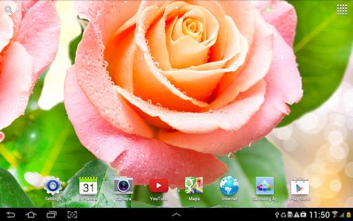 Rose Live Wallpaper screenshot 8