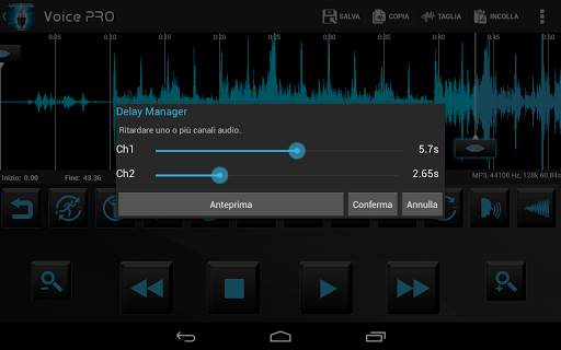 Voice PRO screenshot 2