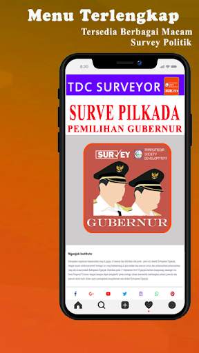 TSD SURVEYOR screenshot 7