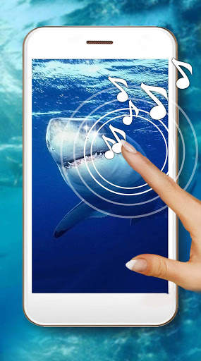 Shark Terrible Live Wallpaper screenshot 1