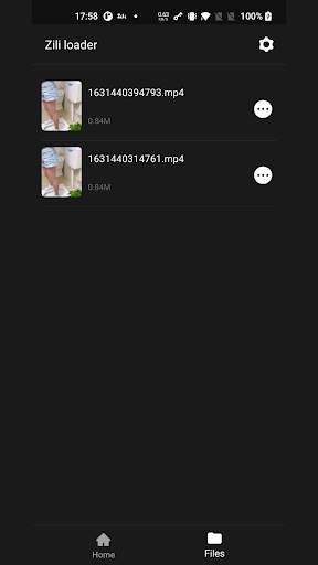 Zili Downloader - No Watermark screenshot 2