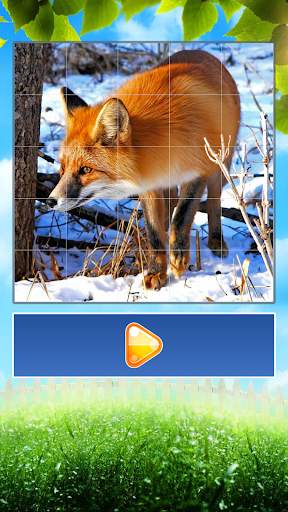 Animals World Tile Puzzle screenshot 8