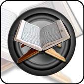 Online Quran Player 1.77.313