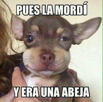 Fotos Memes 2017 screenshot 2