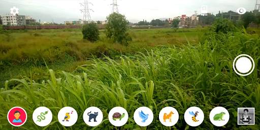 Animal Vision Simulator screenshot 4
