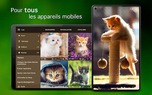 Chatons Fonds d'écran 4K screenshot 6
