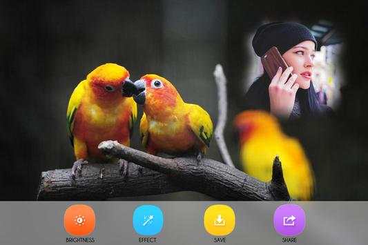 Birds Photo Frames screenshot 4