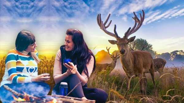 Wild Animal Photo Editor-Animal Photo Frame Editor screenshot 2