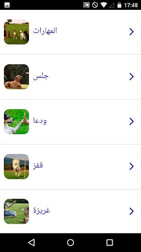 دورة تدريب الكلاب 1 تصوير الشاشة