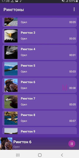 Eagle - RINGTONES and WALLPAPERS screenshot 1