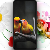 4K Love Wallpapers - Auto Wallpaper Changer icon