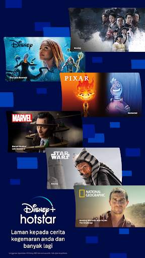 Disney  Hotstar screenshot 8