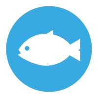 Catch a Fish - A hyperlocal dating app