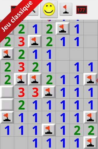 Démineur pour Android screenshot 1