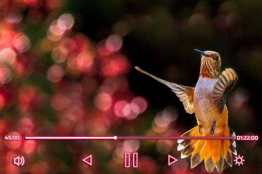 All Video Player screenshot 3