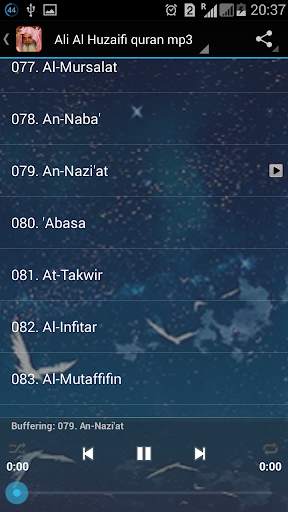 Ali Al Huzaifi quran mp3 screenshot 5