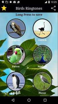 Birds Sounds screenshot 8