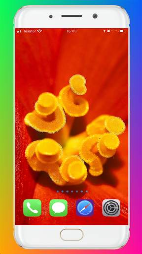 Macro Wallpaper HD screenshot 3