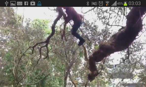 Videos Engraçados screenshot 7