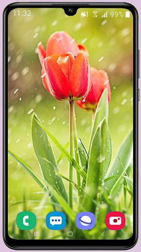 Tulips Wallpaper Best HD screenshot 5