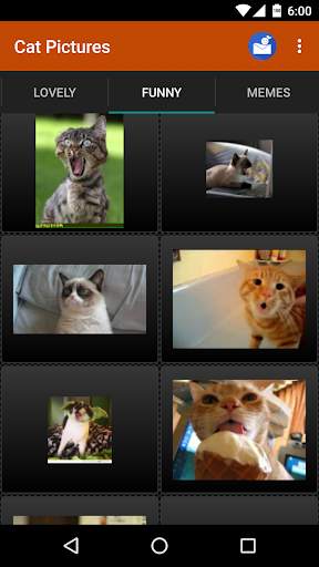 Cat wallpapers and funny pics screenshot 5