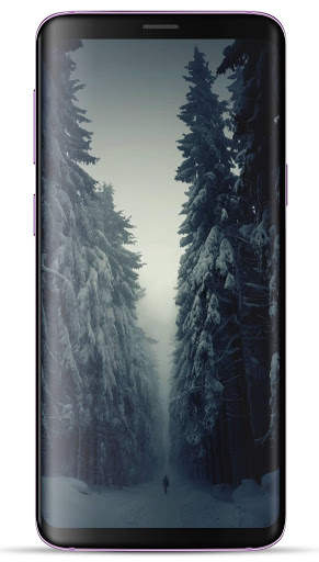 Forest Wallpaper HD screenshot 13