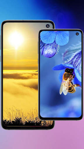 HD Oppo F11 Plus Wallpaper screenshot 1
