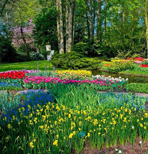 Nature Wallpaper screenshot 8