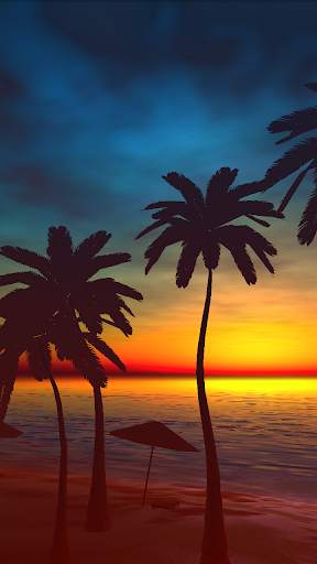 Palms Live Wallpaper screenshot 3