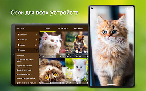Обои с кошками | Кошки, котята скриншот 6