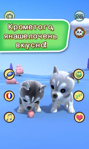 Говоря хаски Собаки скриншот 2