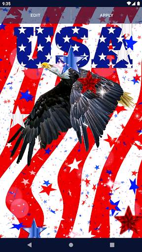 American Flag Wallpapers screenshot 4