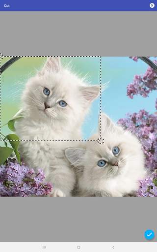 Foto-Widget-7 screenshot 4