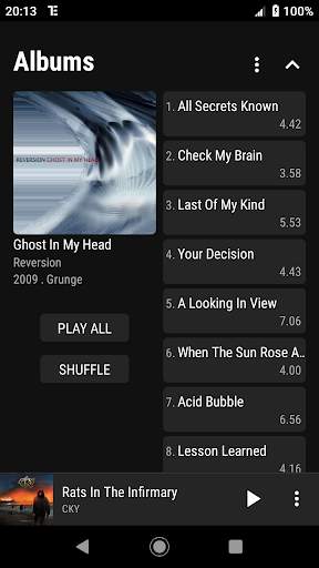 RE Equalizer Music Player 16 تصوير الشاشة