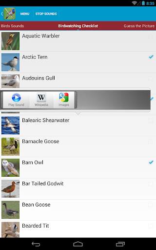UK Birds Sounds Free स्क्रीनशॉट 11