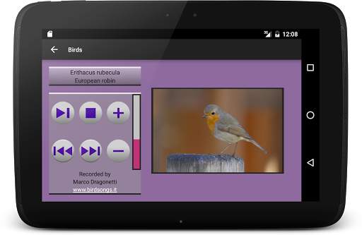 104 Birds Quiz screenshot 19