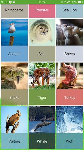 Animal Sounds screenshot 7