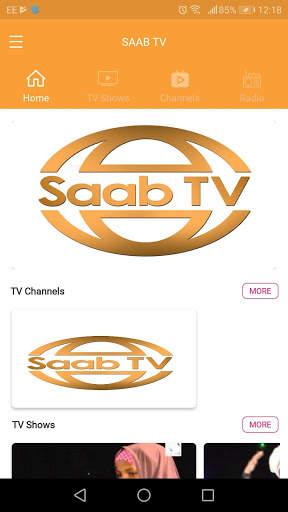 SAAB TV screenshot 2