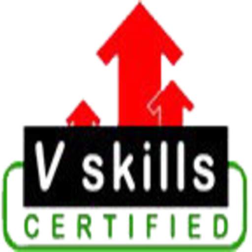 Vskills 0.0.4