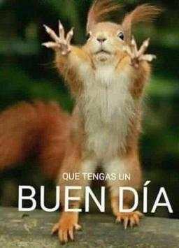 Buenos Dias screenshot 1