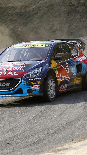 Cool Rally Fury Cars Wallpaper скриншот 12